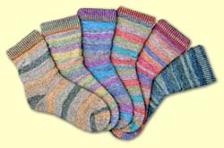 Rodeo Cotton - 