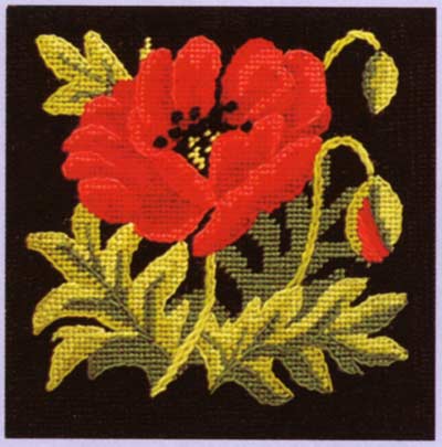 Glorafilia Poppy