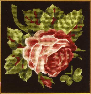 Glorafilia Rose
