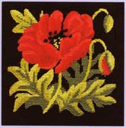 Poppy