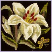 Lily