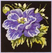 Blue Poppy